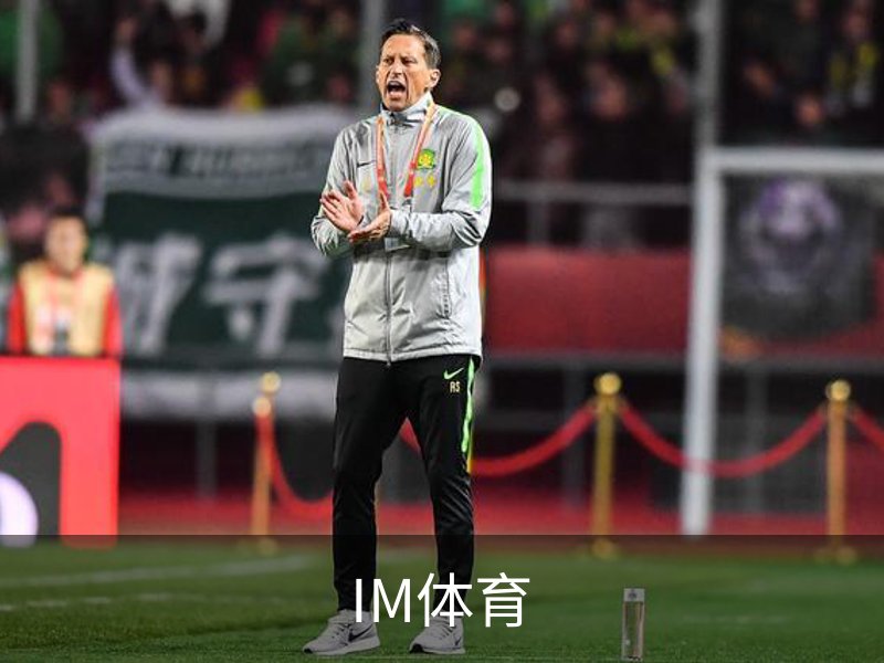 IM体育简介